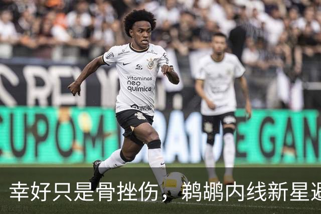 幸好只是骨挫伤，鹈鹕内线新星避免了重大伤病的发生？