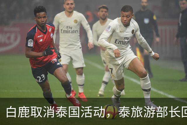 白鹿取消泰国活动，泰旅游部长回应惹争议